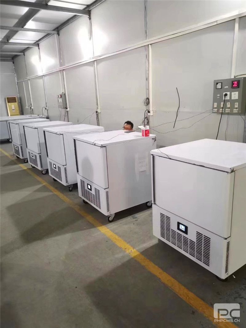 陽江水果極速冷凍柜廠家