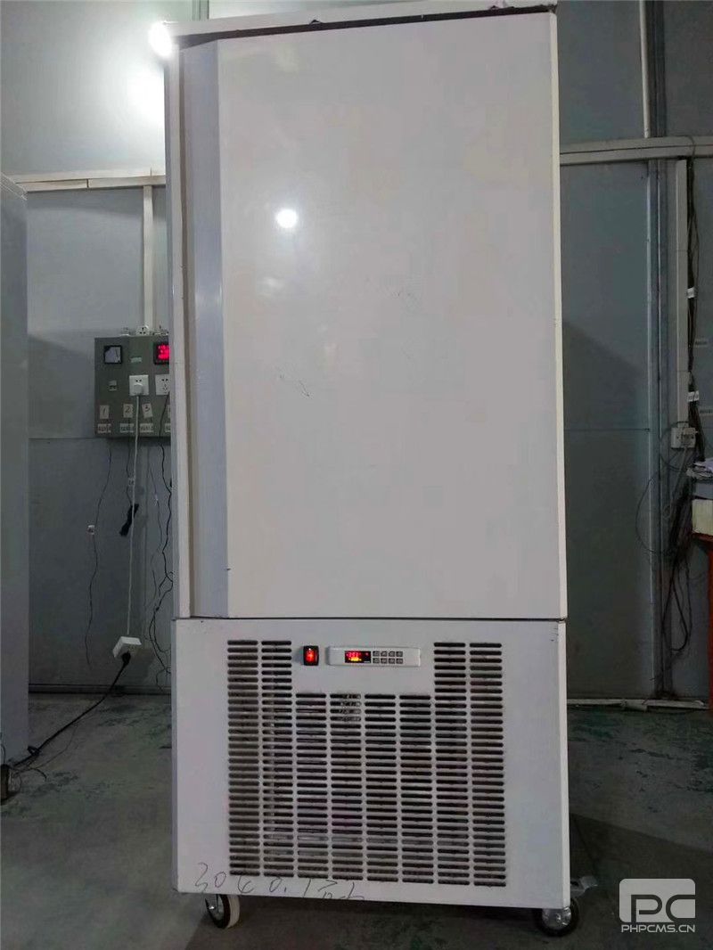 東莞蔬菜急速冷凍柜廠家
